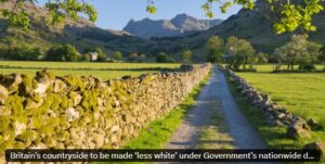 Dan McDonald, Blog de Salagre