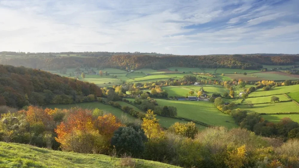 El campo británico, Blog de Salagre