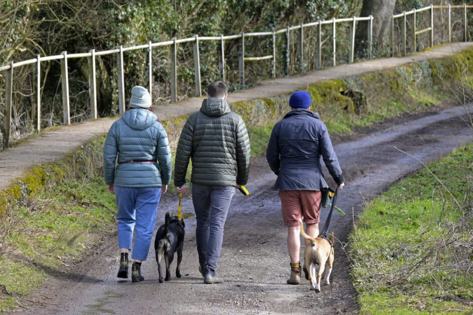 Dogwalkers, Blog de Salagre